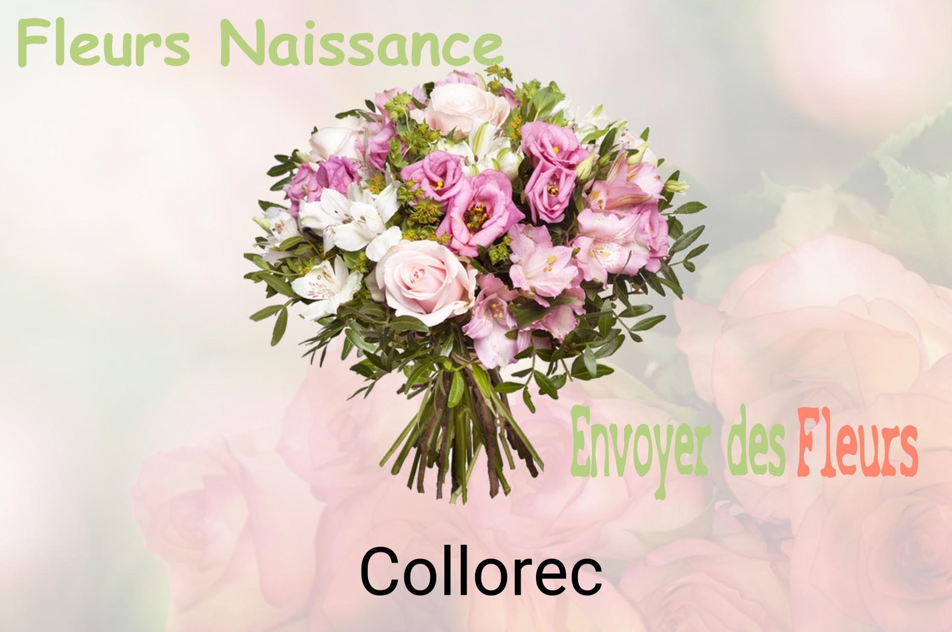 Bouquet de fleurs de naissance livré à Collorec